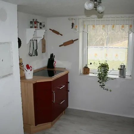 Weiher 1 Tatil Evi Rot an der Rot